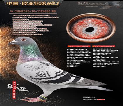 ղɭ919����308Xղɭ766ֱŮ563