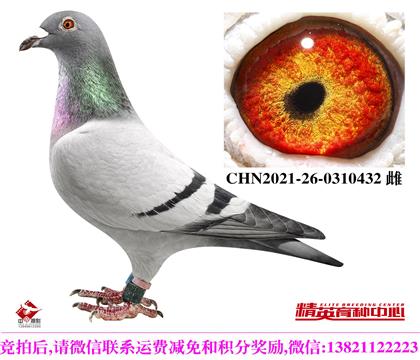 ������ظ���/098ֱ��Ů