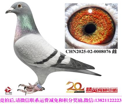 ���ǲ��˸����ھ����ʽ���