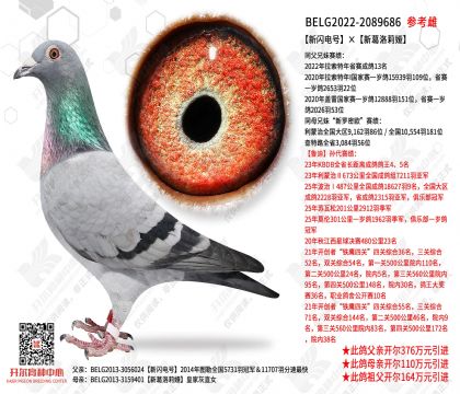 ������š��¸������