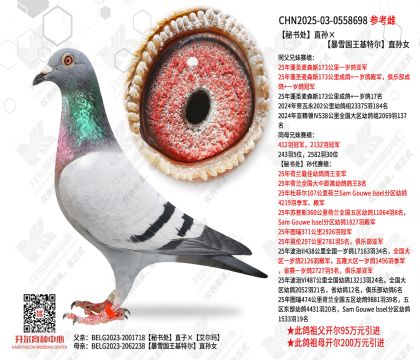 ���鴦ֱ�����ѩ�������ض�ֱ��Ů