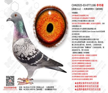 ���ֻ�ɽ�����׸����ϲ���