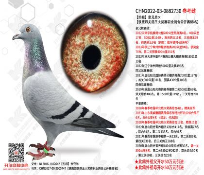 Լ�����ֵܡ���ӥ�Ĺظ�������ְҵ���ṫ����88��