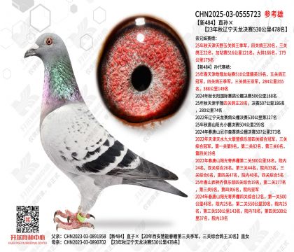 ��484ֱ���23����������������478��