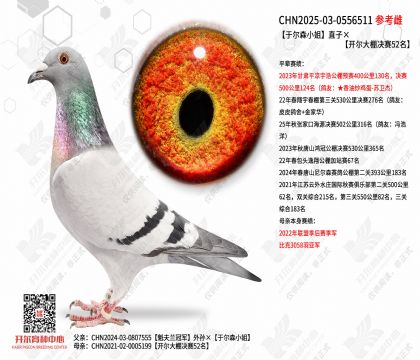 �ڶ�ɭС��ֱ�ӡ������������52��