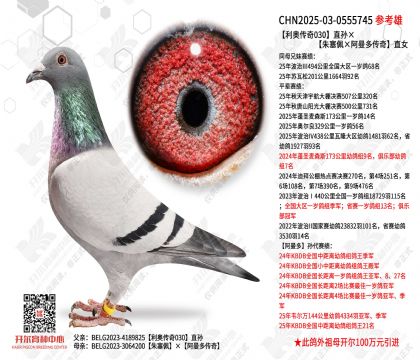 ���´���030ֱ�����������������ഫ�桱ֱŮ