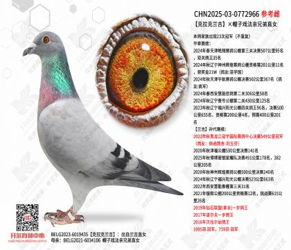 ������������ñ��Ϸ�����ֵ�ֱŮ