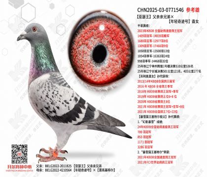 ����ɪ�����������ֵܡ������漣��ֱŮ