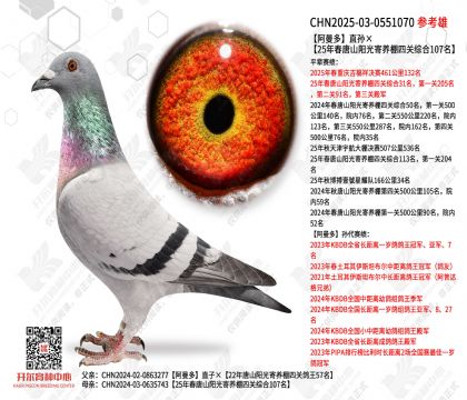 ������ֱ���25�괺��ɽ����������Ĺ��ۺ�107��