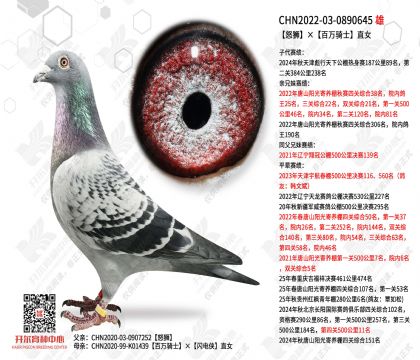 ŭʨ��������ʿֱŮ