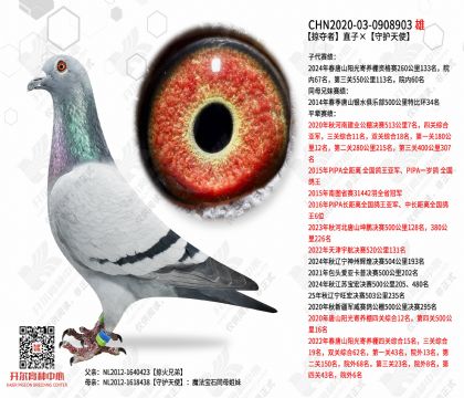 �Ӷ���ֱ�ӡ��ػ���ʹ