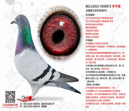 ȫ�������Ǿ��׵�972