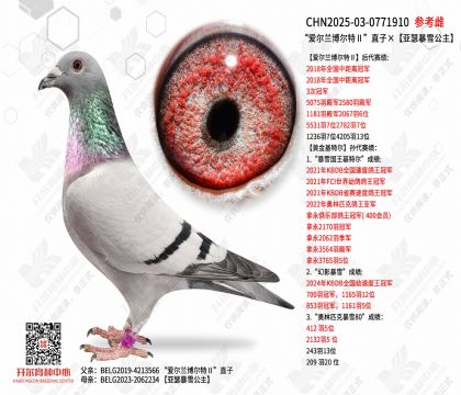 �������������آ�ֱ�ӡ���ɪ��ѩ����