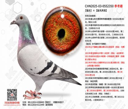 �𼪡���������