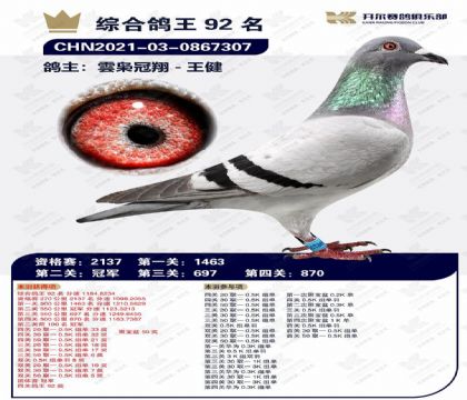 21����ֲ��ڶ��عھ�