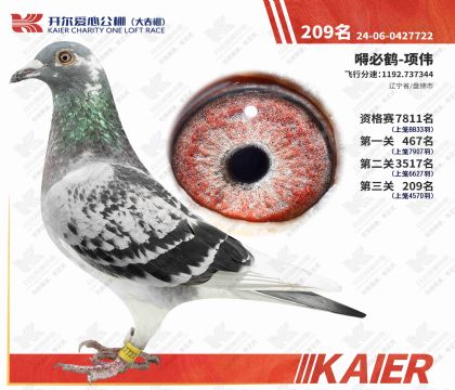 �������Ĺ���������209�����ƣ�