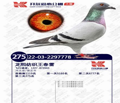 �����������275��