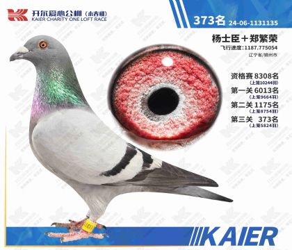 �������Ĺ���С�������373�����ƣ�