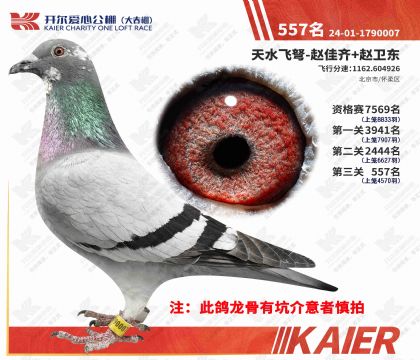 �������Ĺ���������557�����ƣ�