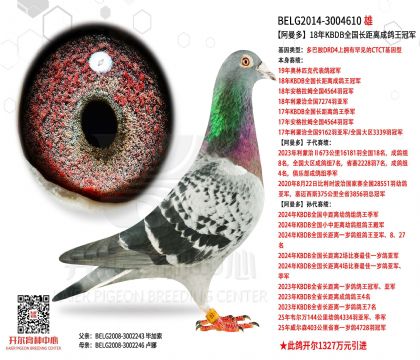 2���游-3004610