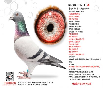 2����NL2016-1712749