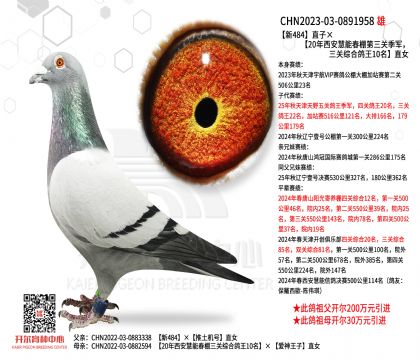 2����23-0891958