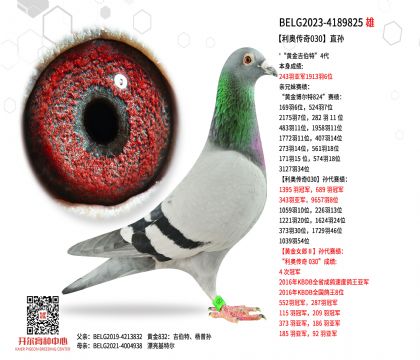 2����BELG2023-4189825a