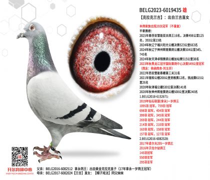 2����BELG2023-6019435