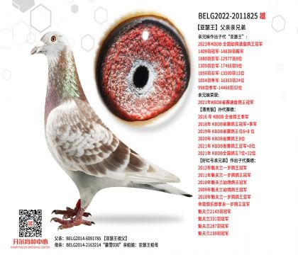 2����BELG2022-2011825