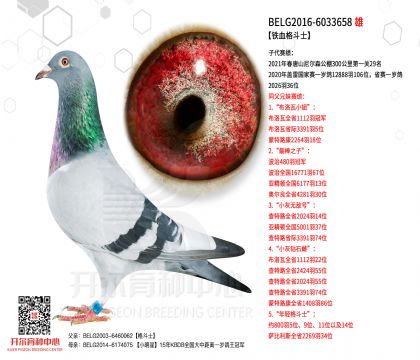 2����-6033658