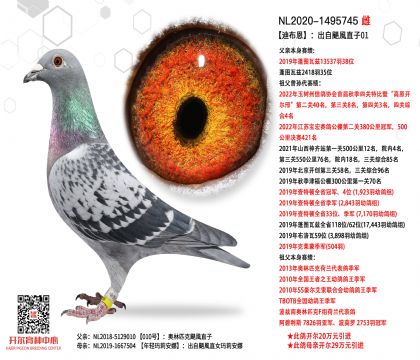 3ĸ��NL2020-1495745