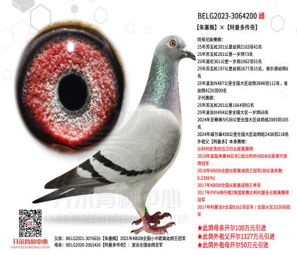 3ĸ��BELG2023-3064200