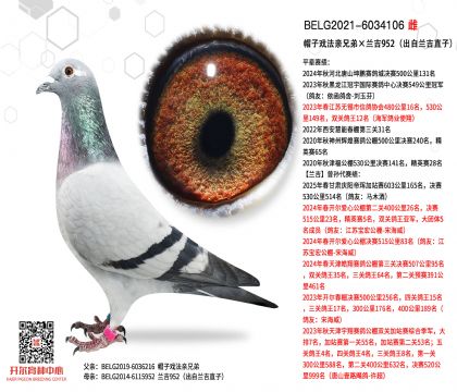 3ĸ��BELG2021-6034106