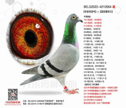 3ĸ��BELG2022-4210564