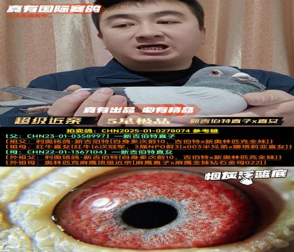 ���¼�����ֱ��xֱŮ����������