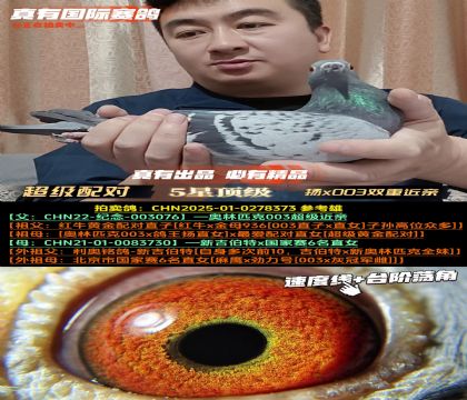 ���������+�������塷��x003˫�ؽ���