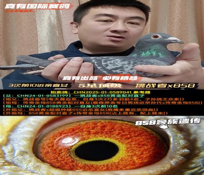 ��3��ǰ10����ֱŮ����ս��x858����