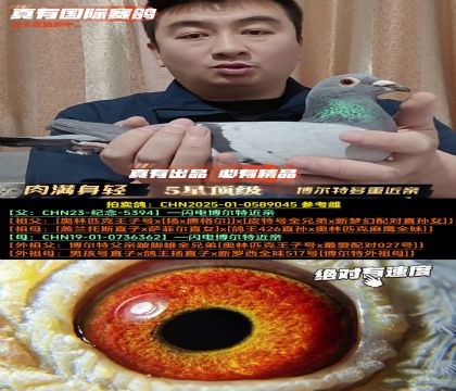 ���������ᡷ�����ض��ؽ���