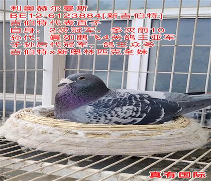 �¼�����