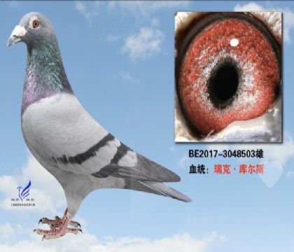 ����ʱ���.���˹ԭ��