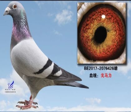 ����ʱ���Ը�����ԭ��