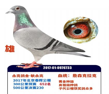 ��ѫ����