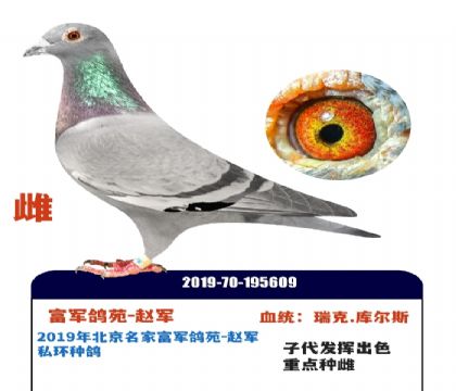 ��������˽���ָ�