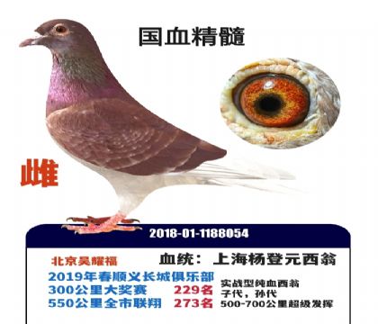 �Ϻ����Ԫ����