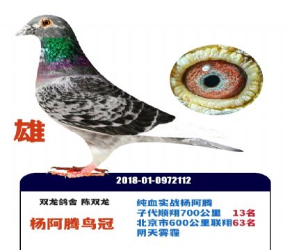 ����������