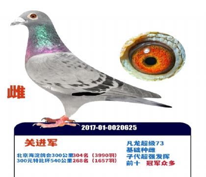 �ƽ����ִ�