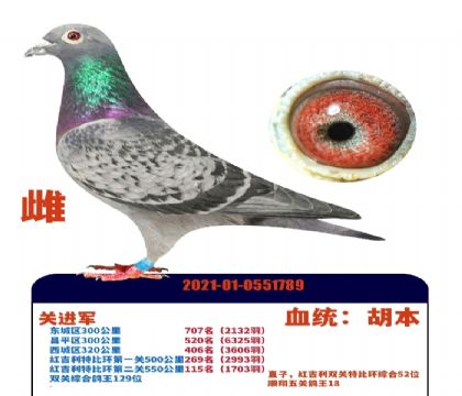 �����ִ�