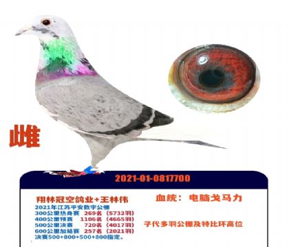 �������ִ�