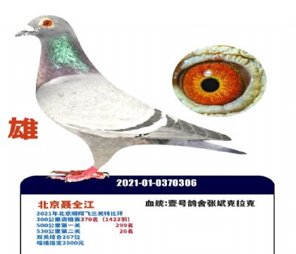 Ҽ�Ÿ��������