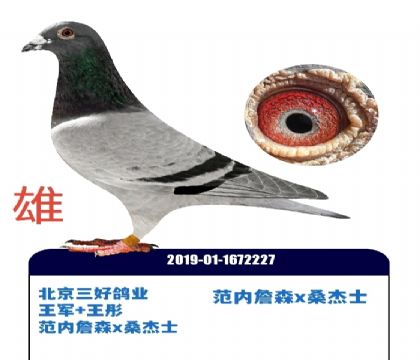 �������ø�ҵ